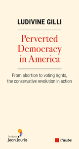Electronic book Perverted Democracy in America