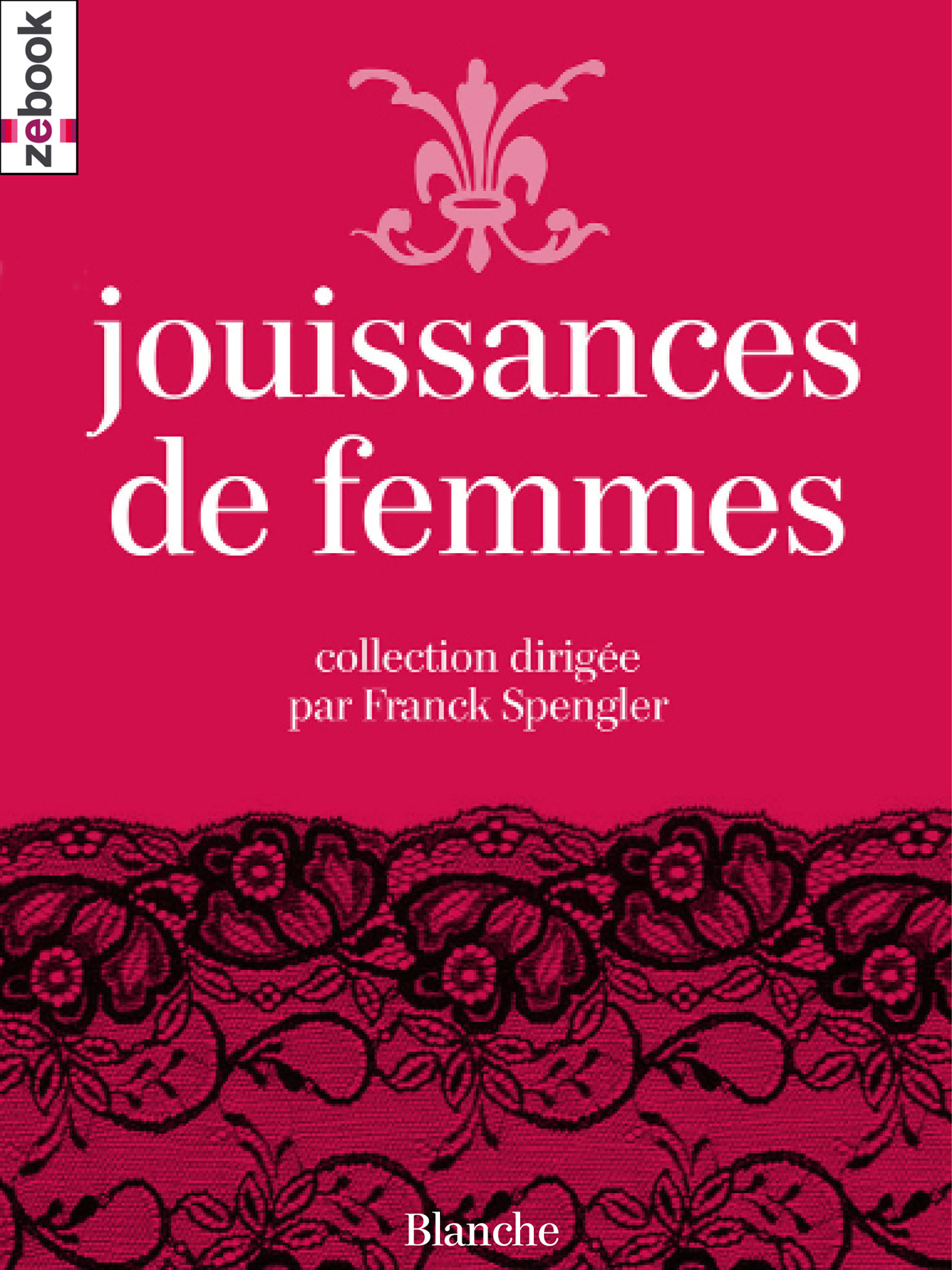 Ebook Jouissances de femmes par Collectif - 7Switch