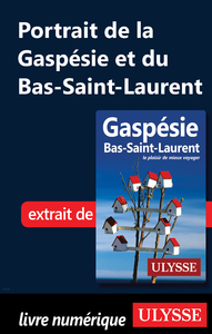 Livre numérique Portrait de la Gaspésie et du Bas-Saint-Laurent