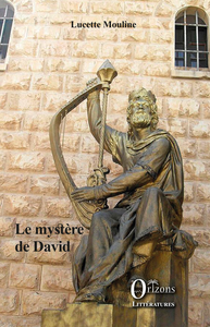 Livre numérique Le mystère de David