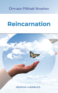 E-Book Reincarnation