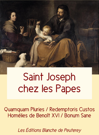 Livre numérique Saint Joseph chez les Papes