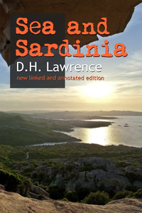 Electronic book Sea and Sardinia