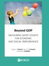 Electronic book Beyond GDP