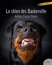 Livre numérique Le chien des Baskerville (policier)