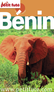 Livre numérique Bénin 2015 Petit Futé