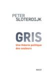Electronic book Gris