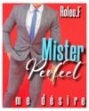 Electronic book Mister perfect me désire 1 (édition française)