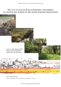 Livre numérique Silva et saltus en Gaule Romaine : Dynamique et gestion des forêts et des zones rurales marginales