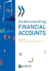 Electronic book Understanding Financial Accounts