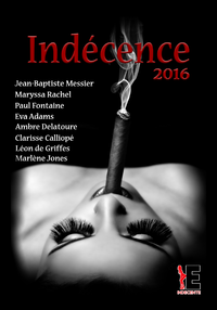 Livre numérique Indécence 2016