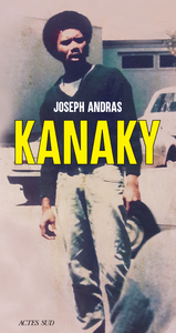 Livre numérique Kanaky