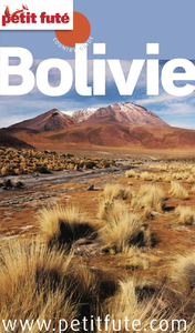 Livre numérique Bolivie 2015 Petit Futé