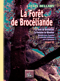 Livre numérique La Forêt de Brocéliande (Tome 3)