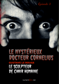 Livre numérique Le Mystérieux Docteur Cornélius, épisode 3