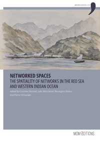 E-Book Networked spaces