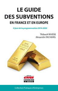 Livre numérique Le guide des subventions en France et en Europe