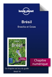 E-Book Brésil - Brasília et Goias