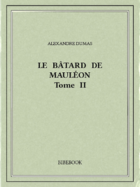 Livre numérique Le bâtard de Mauléon II