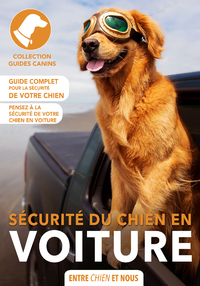 Livre numérique La sécurité du chien en voiture