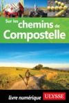 Electronic book Sur les chemins de Compostelle