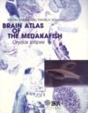 Electronic book Brain atlas of the mekadafish