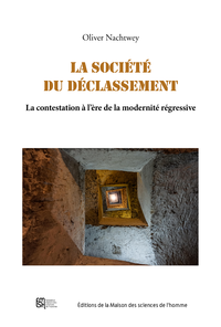 Livre numérique La société du déclassement