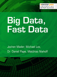 Electronic book Big Data, Fast Data