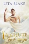Livre numérique La chute de l'ange