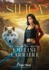 Livre numérique Un chaos du diable
