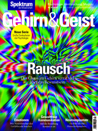 Livre numérique Gehirn&Geist 1/2019 Rausch