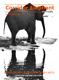 Livre numérique E-magazine Corridor Éléphant N°8