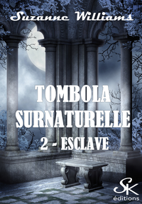 Livre numérique Tombola surnaturelle 2