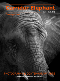 Livre numérique E-Magazine Corridor Éléphant N°11