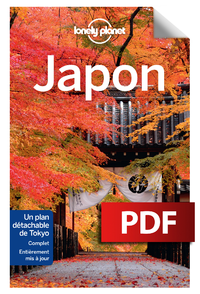 Livre numérique Japon 6 ed