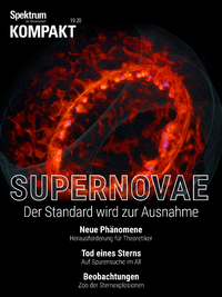 Livre numérique Spektrum Kompakt - Supernovae