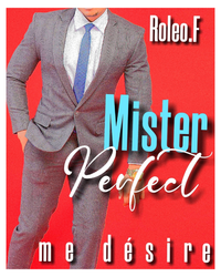 Livro digital Mister perfect me désire 1 (édition française)