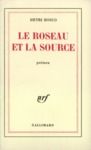 Livre numérique Le Roseau et la source