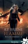 E-Book Flamme