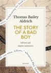 Electronic book The Story of a Bad Boy: A Quick Read edition