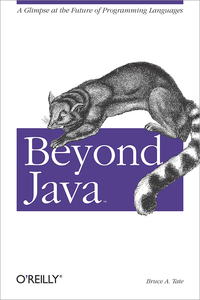 Livre numérique Beyond Java