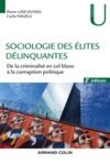 Livre numérique Sociologie des élites délinquantes - 2e éd.
