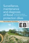 Libro electrónico Surveillance, Maintenance and Diagnosis of Flood Protection Dikes