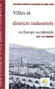 Livre numérique Villes et districts industriels en Europe occidentale (XVIIe-XXe siècle)