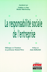 Livre numérique La responsabilité sociale de l'entreprise