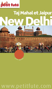 Livre numérique New Delhi 2015/2016 Petit Futé