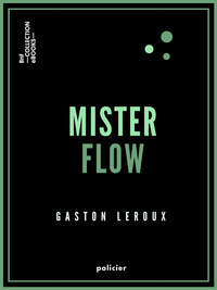 Livre numérique Mister Flow