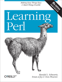 Livre numérique Learning Perl