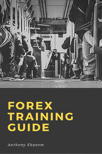 E-Book Forex Training Guide