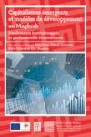 Livre numérique Capitalismes émergents et modèles de développement au Maghreb
